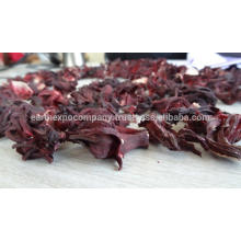 Hibiscus Flower Supplier